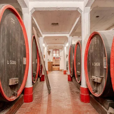 Dimora Perla Di - Historical Wine Retreat Near Bernina Express * Villa di Tirano
