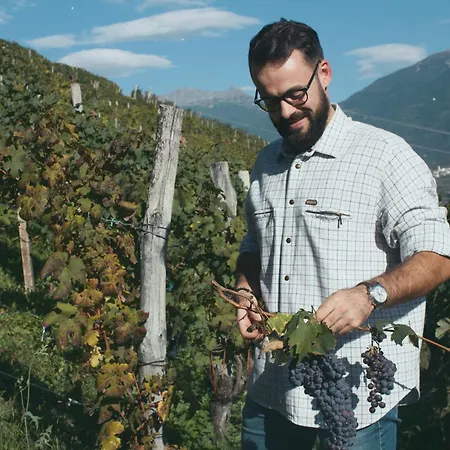 Dimora Perla Di - Historical Wine Retreat Near Bernina Express