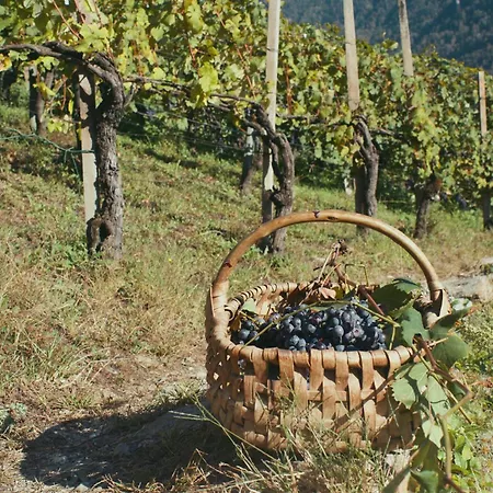Dimora Perla Di - Historical Wine Retreat Near Bernina Express * Villa di Tirano