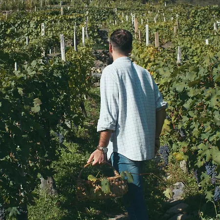 Dimora Perla Di - Historical Wine Retreat Near Bernina Express *