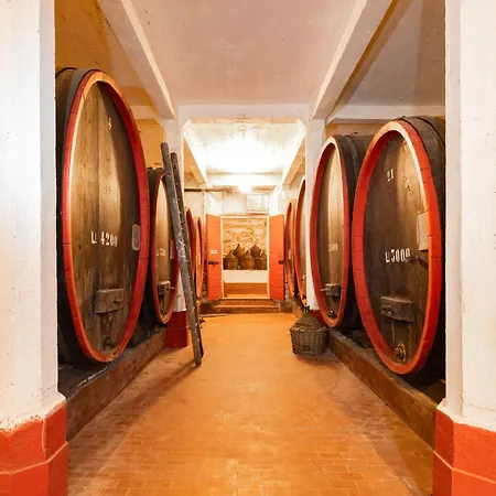 Dimora Perla Di - Spacious Wine Estate Retreat Near Bernina Express * Villa di Tirano