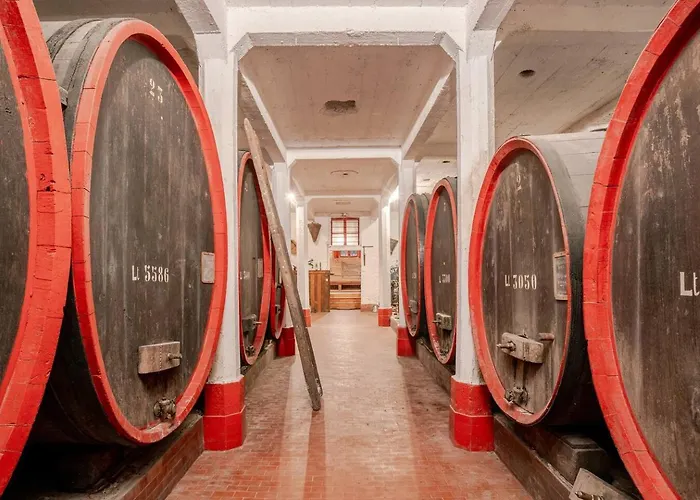 Dimora Perla Di - Historical Wine Retreat Near Bernina Express * Villa di Tirano