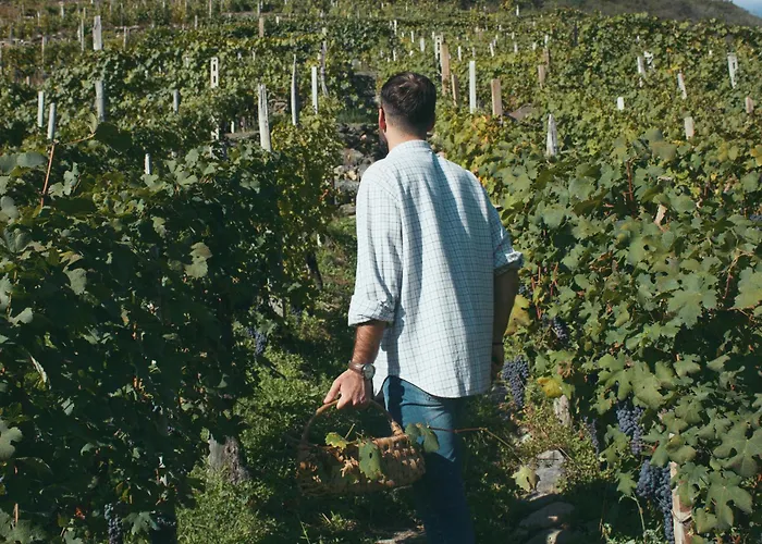 Dimora Perla Di - Historical Wine Retreat Near Bernina Express *